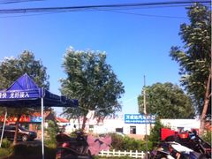 -小叮当动物医院·骨科·眼科