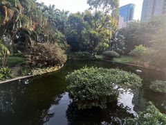 -九龙公园