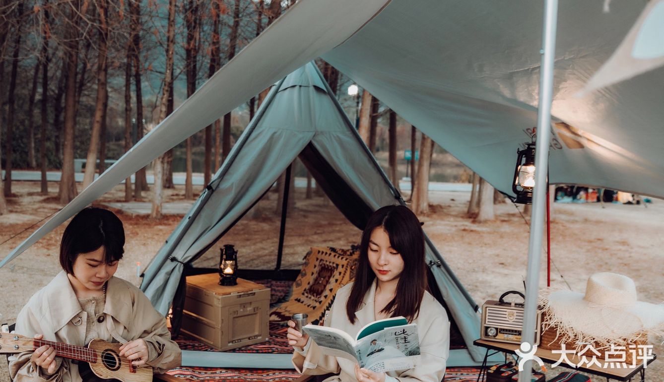 广州周边露营｜杉树林Glamping