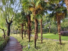 -上海市保健医疗中心