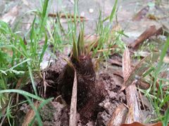 android_upload_pic-旺山景区