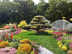 -上海共青森林公园