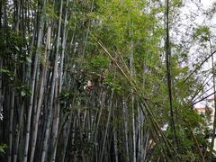 -丰依竹食·老牌竹筒饭