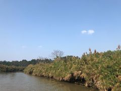 -大湾区中央湿地公园