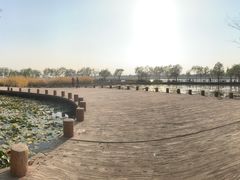 -绿堤公园