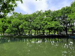 -荔枝公园(福田区)