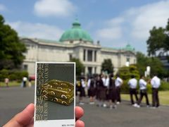 -东京国立博物馆