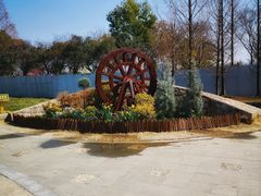 -苏州上方山国家森林公园