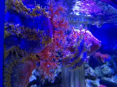 -石家庄海洋公园