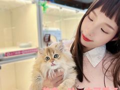 -lincat·猫舍(广州店)