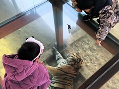 -栾川竹海野生动物园