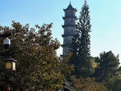 -江心屿景区