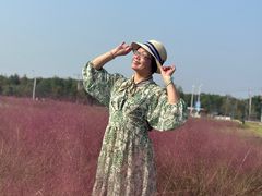 -尚贤河湿地