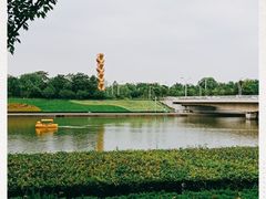 -郑东新区湿地公园
