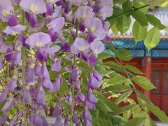 -大钟寺古钟博物馆