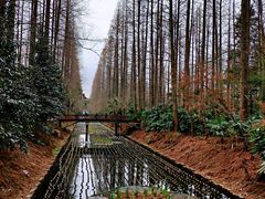 -东平国家森林公园