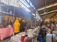 -曲阳花鸟市场(曲阳路店)