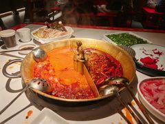 -小龙翻大江文化火锅(宽窄店)