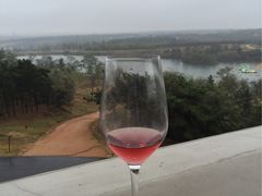 -东海森林温泉度假酒店