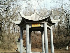 -高尔山公园