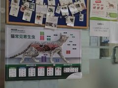-宠颐生中康贝怡动物医院