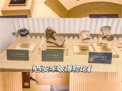 -陕西历史博物馆