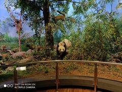 -陕西自然博物馆