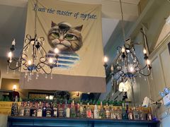 -猫咪博物馆(顶澳仔猫街店)