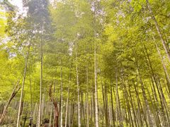 -黄公望隐居地