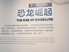-自贡恐龙博物馆
