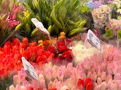 -循礼门鲜花花市(武汉循礼门店)