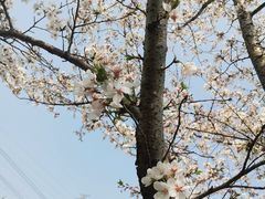 -长田漾湿地公园