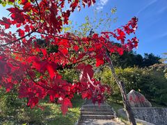 -丹东天桥沟景区