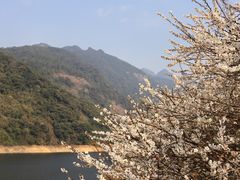-广州市流溪河国家森林公园