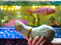 -巽寮印象美食部落餐厅·海鲜·地方特色菜(惠州体验店)