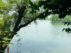 -东湖食堂·湖景餐厅•会议