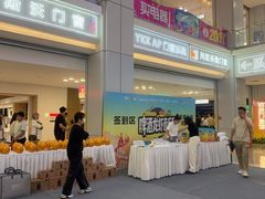 -红星美凯龙北京至尊MALL(东四环中路店)