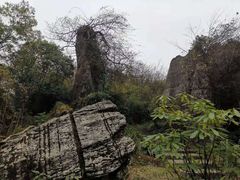 -山王坪喀斯特国家生态公园