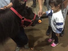 -四维羽毛球馆(北二中路店)