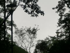 -广州市白云山风景名胜区
