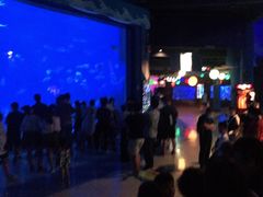 -烟台海昌鲸鲨海洋公园