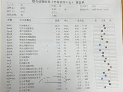 -联合动物医院(光谷诊疗中心)
