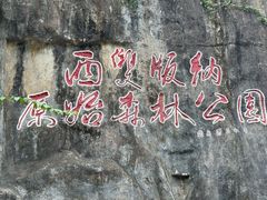 -西双版纳原始森林公园