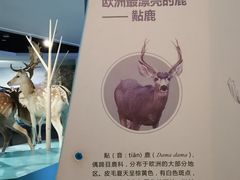 -长江文明馆