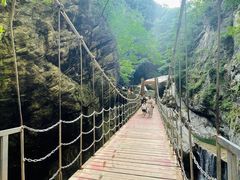 -牛背梁国家森林公园