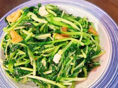 清炒鸡毛菜-那家·油麻菜馆(常德道店)