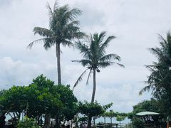 -白沙湾海滩