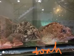 大堂-合家小菜餐馆(新诚花苑店)