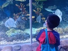 -华夏文旅海洋公园