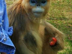 -西安秦岭野生动物园